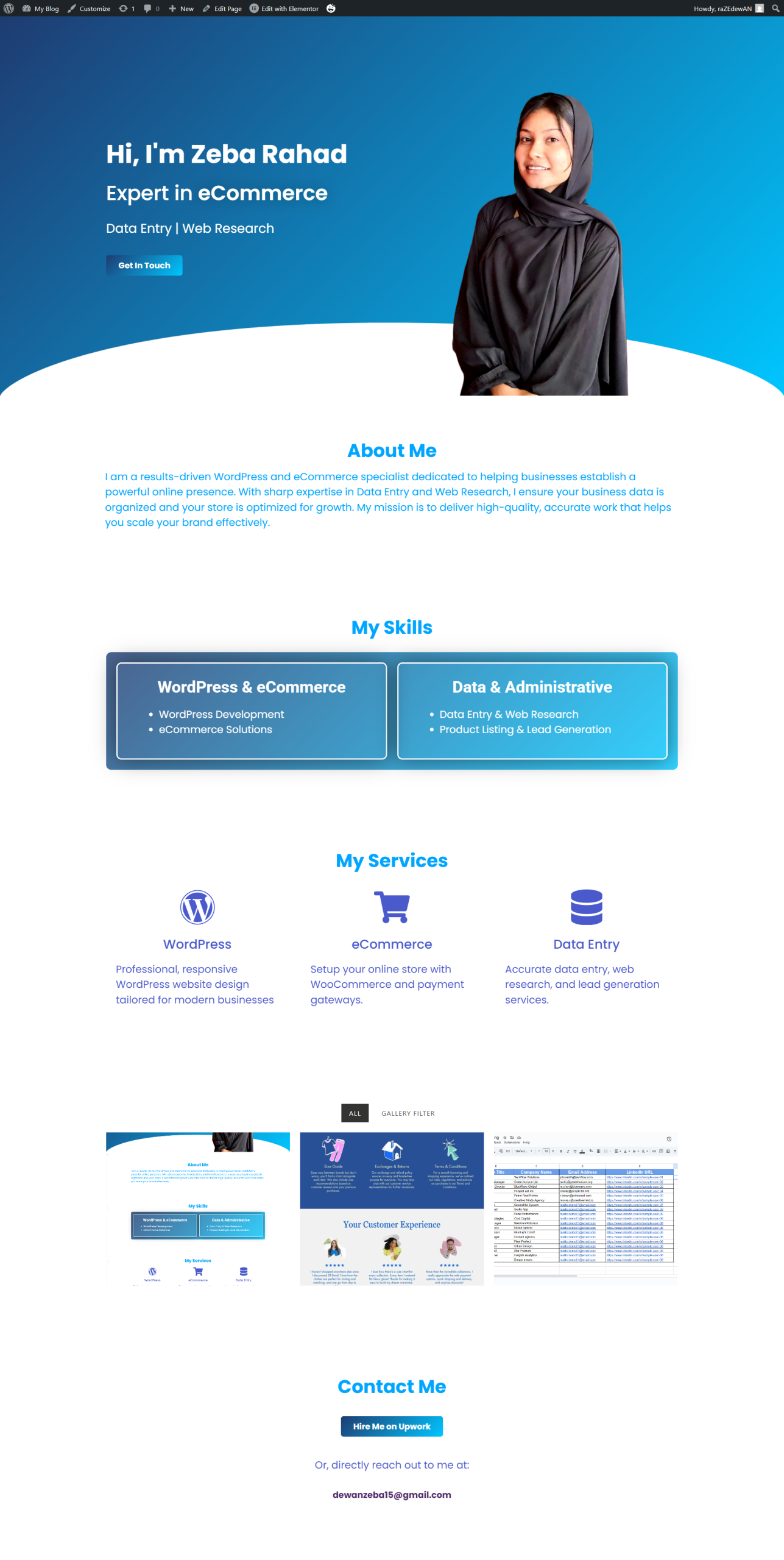 Professional Portfolio Website